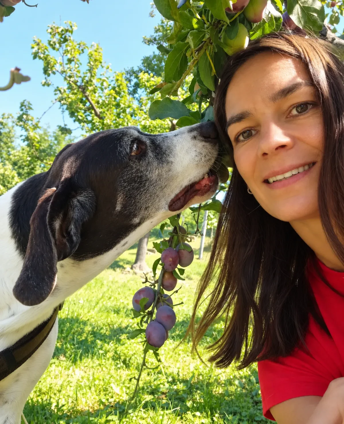 Hund und Mensch beim gemeinsamen Training
